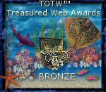 TOTW Bronze Award
