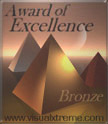 Visual Xtreme Bronze Award