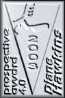 Silver Prospective Award