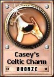 Casey's Celtic Charm Bronze