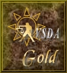 VSDA Gold Award